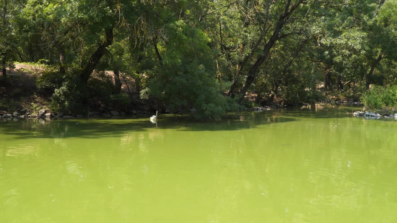 风景如画的河岸。视频素材