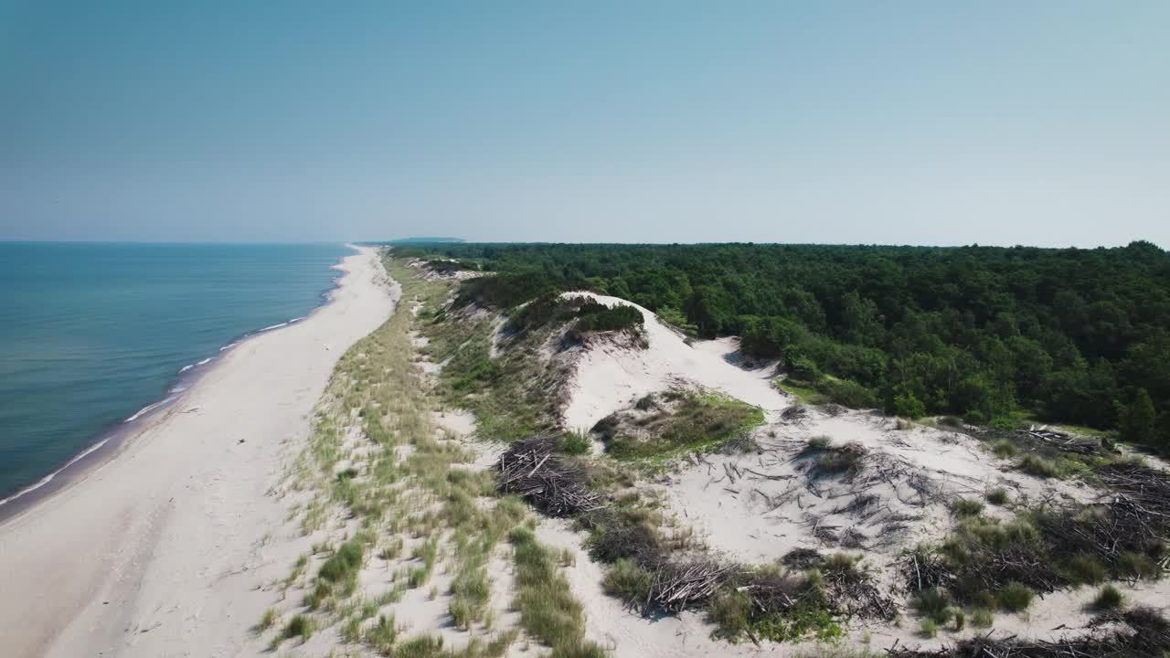 美丽的自然景观。海岸附近有灌木和绿叶的沙丘。夏天视频素材