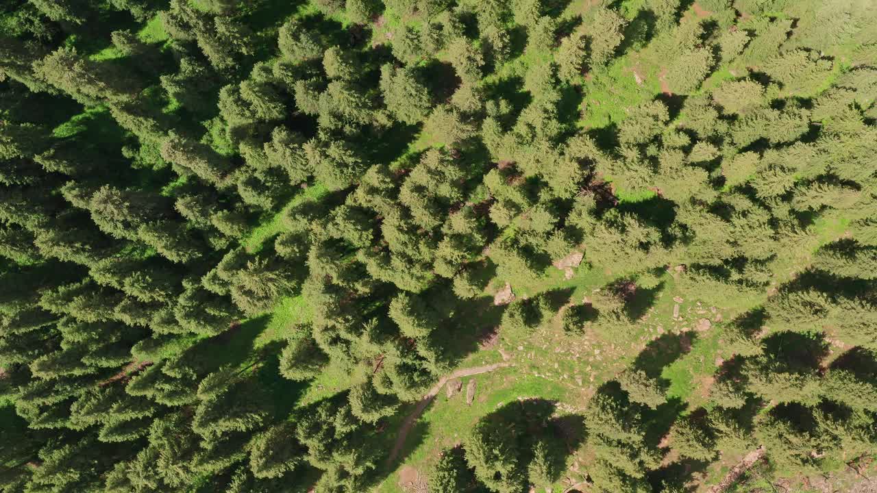 在晴朗的日子里，有山有树。视频素材