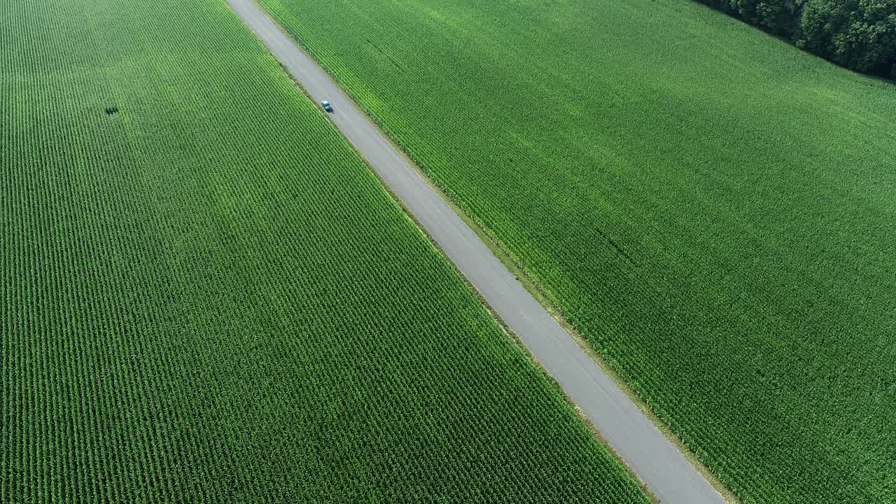 乡村公路和玉米地的航拍视频素材