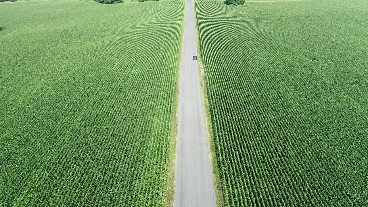 乡村公路和玉米地的航拍视频素材