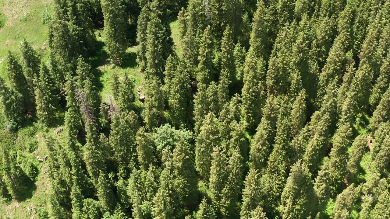 在晴朗的日子里，有山有树。视频素材