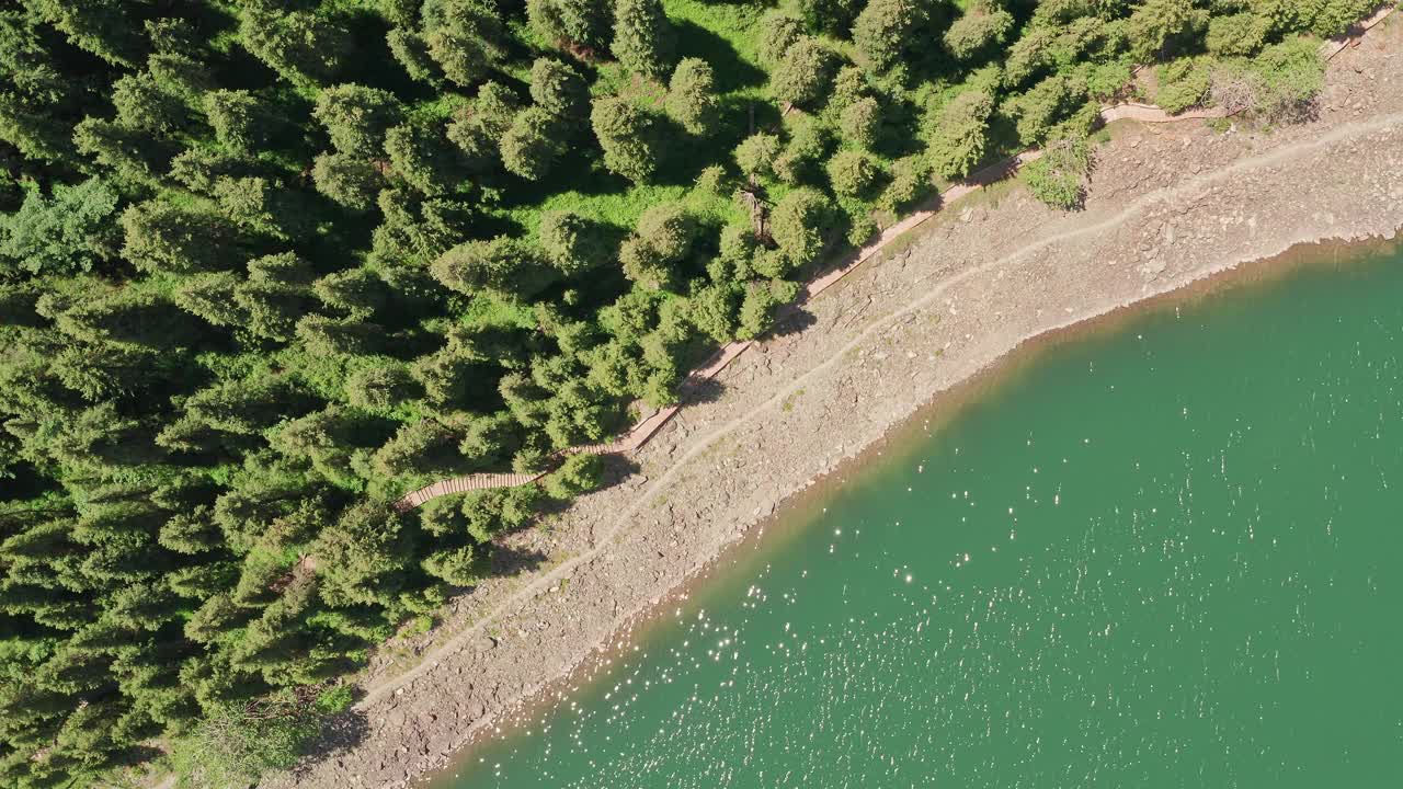 在晴朗的日子里河流和树木。视频素材