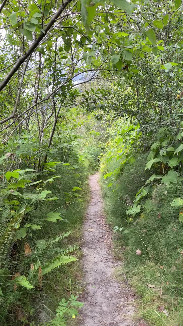 皮特河自然小径视频素材