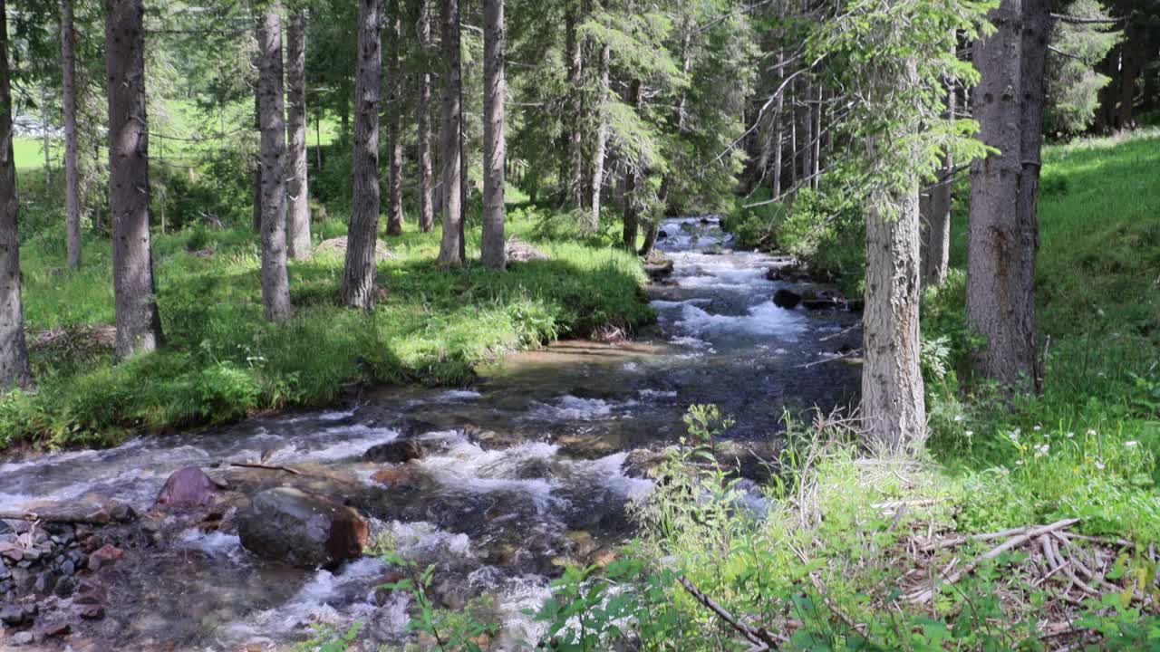 白云石溪流(莫纳的圣佩莱格里诺山口)视频下载