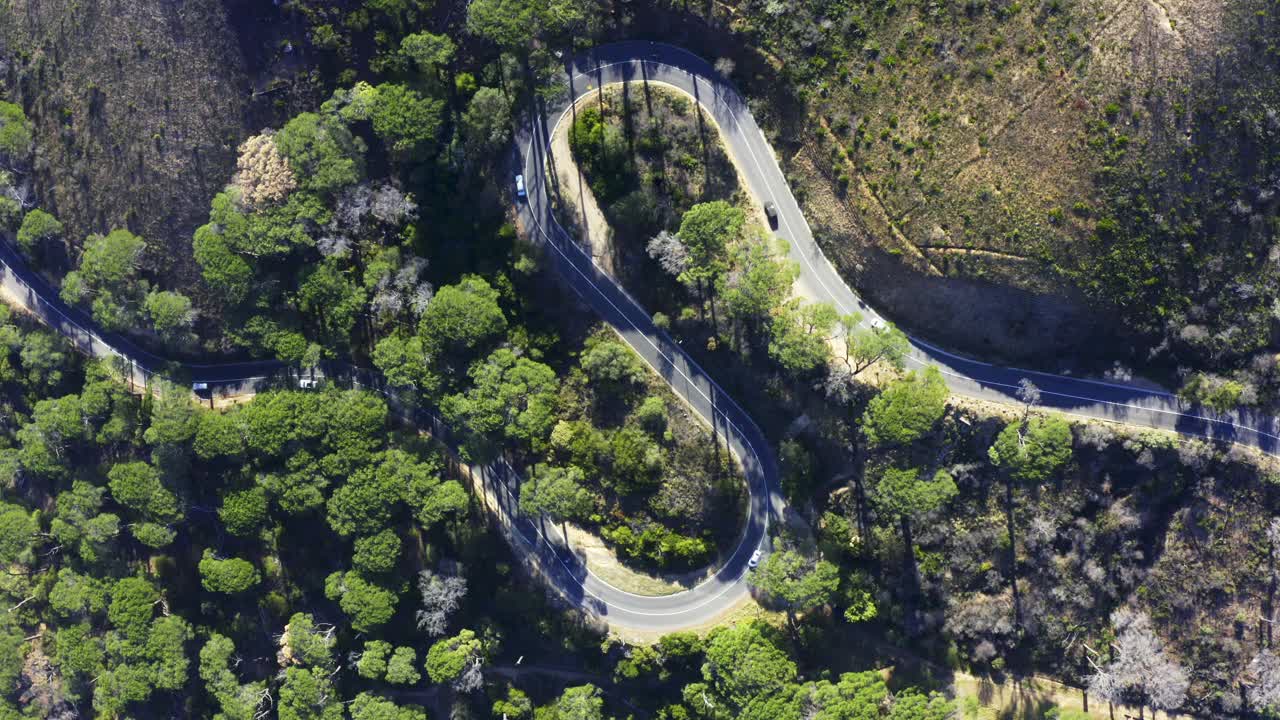 4k无人机拍摄的汽车在林区道路上行驶的画面视频素材