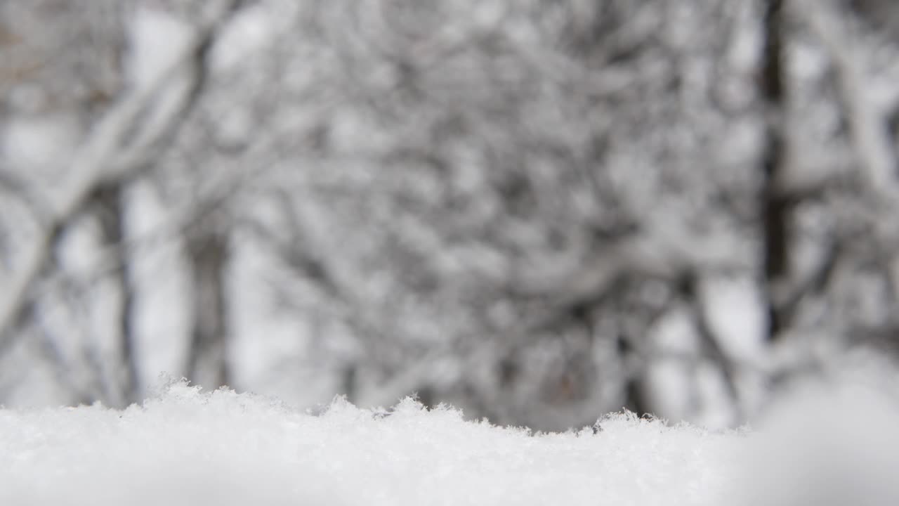 洁白的雪花飘落在冬天，圣诞雪花飘落在冬天。视频素材