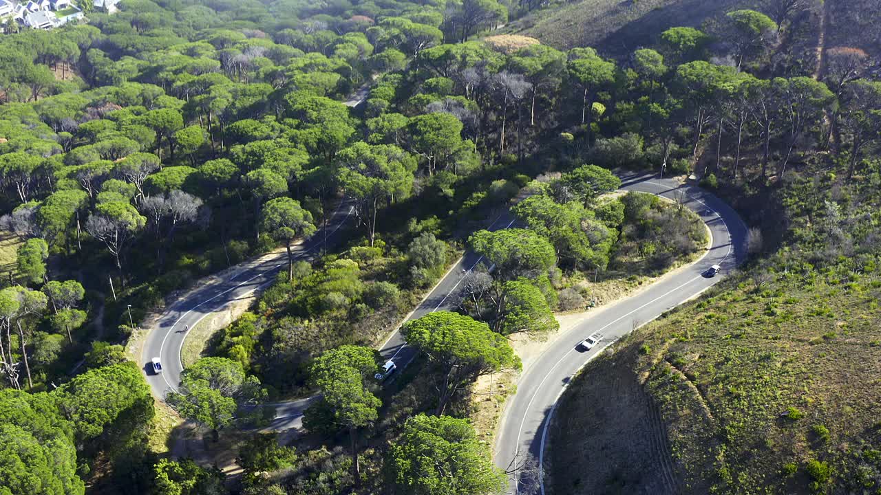 4k无人机拍摄的汽车在林区道路上行驶的画面视频素材