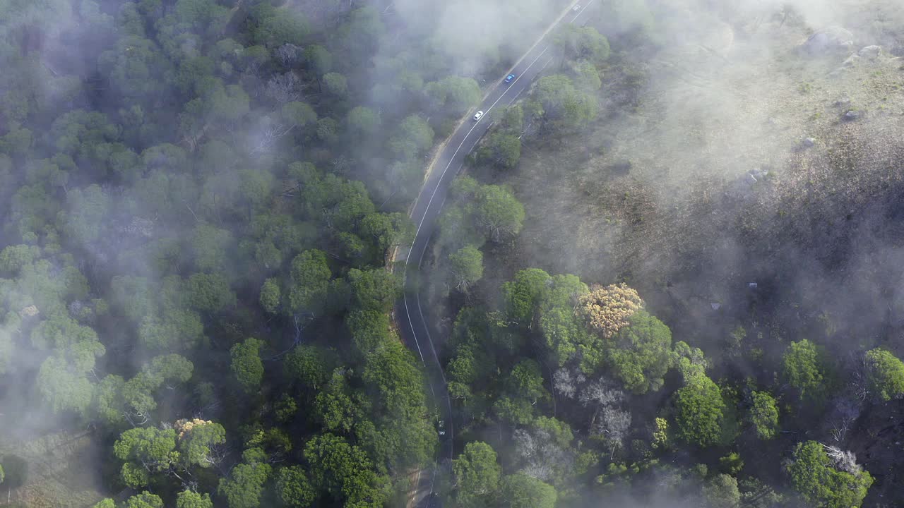 4k无人机拍摄的阴天，汽车行驶在林地的道路上视频素材