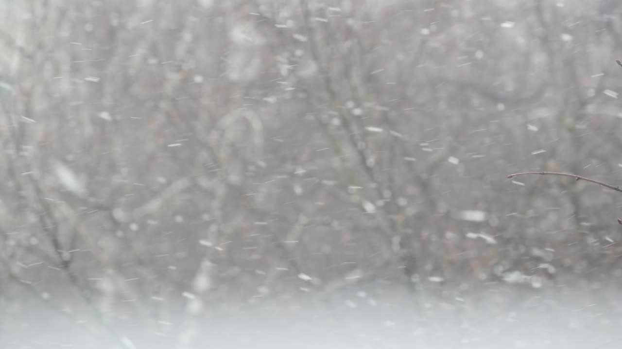 洁白的雪花飘落在冬天，圣诞雪花飘落在冬天。视频素材