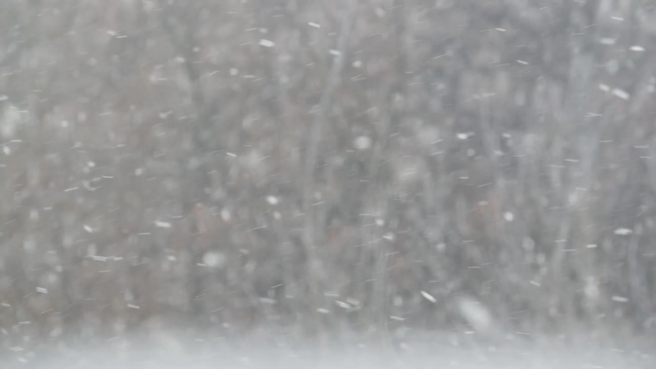 洁白的雪花飘落在冬天，圣诞雪花飘落在冬天。视频素材