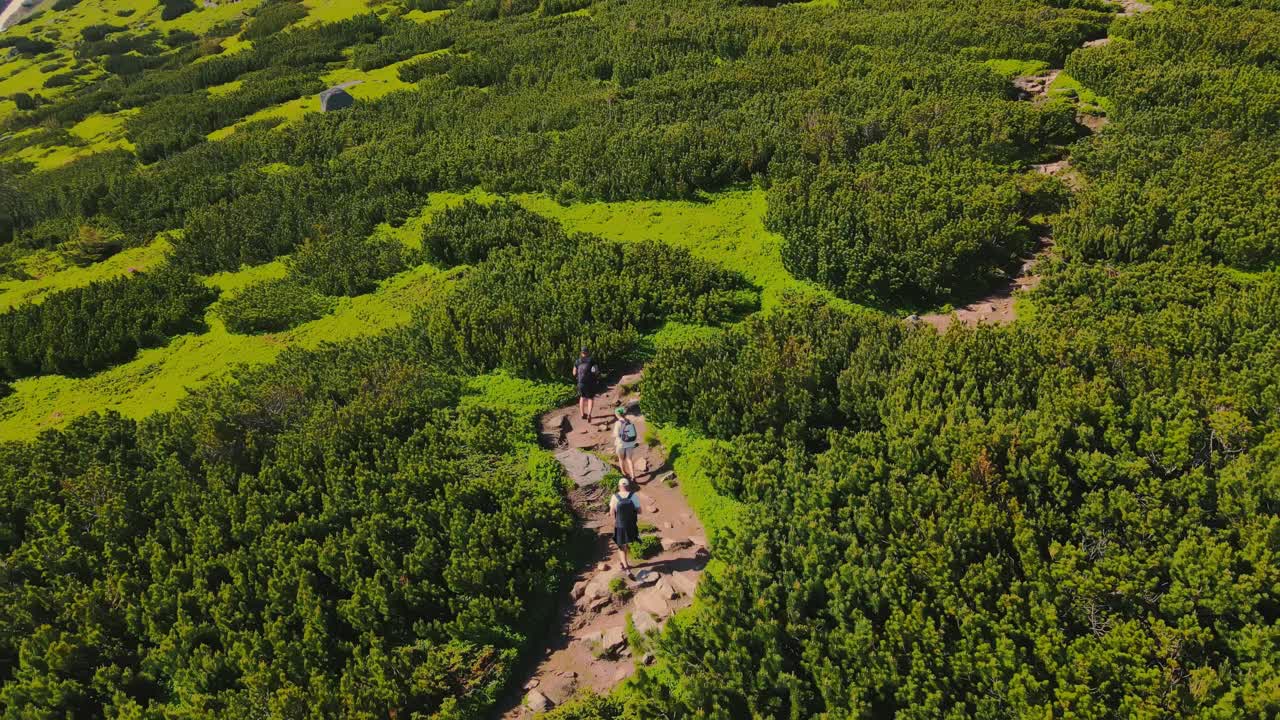 从鸟瞰图上看，一群游客正在登山。让三个游客在山上徒步旅行。爬上1864米高的耳石。乌克兰喀尔巴阡山脉。游客们被绿色的灌木丛、岩石和大石头包围着视频素材