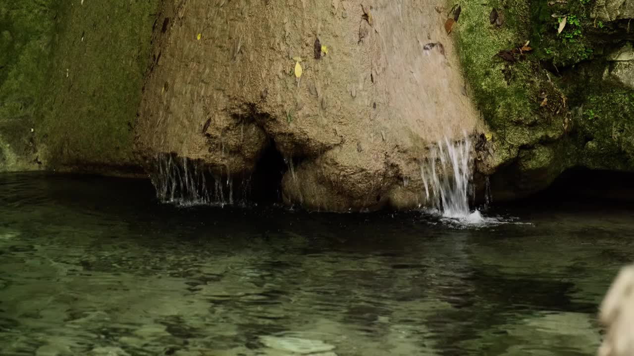 水顺着森林里的岩石流下来。视频素材