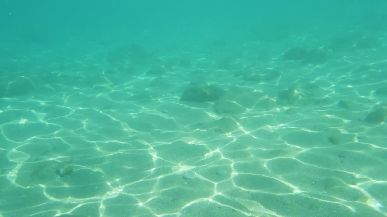 海景和水下生活视图视频素材