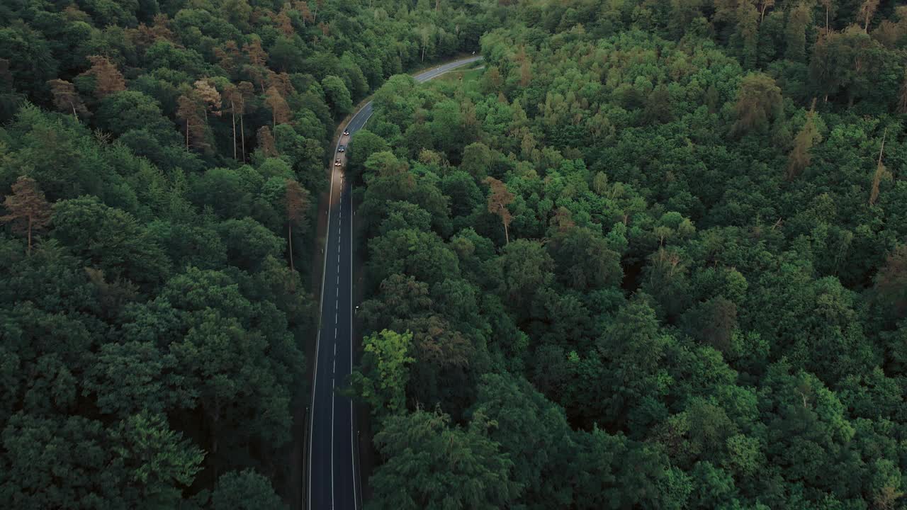 空中拍摄的黄昏森林公路上的汽车视频素材