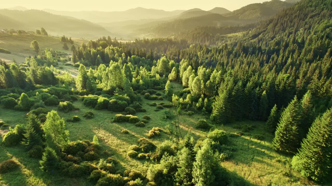 清晨空中拍摄的青山绿树。山林在初升的阳光下。夏天自然背景视频素材