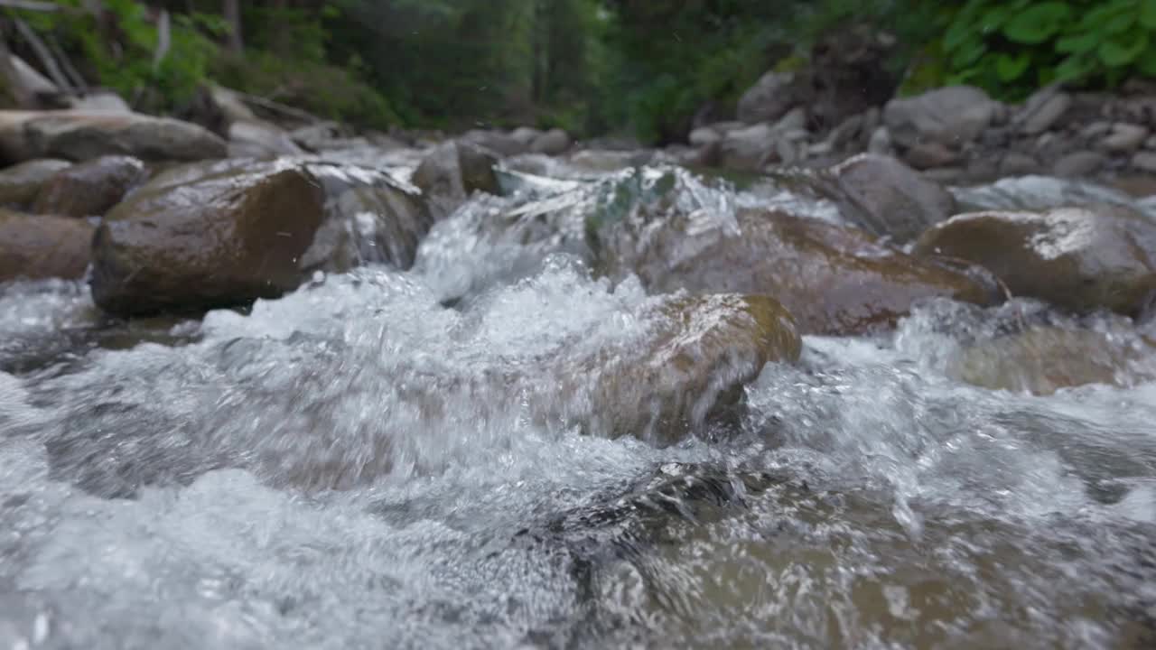 森林中湍急的山河的慢镜头。镜头沿着山涧中湍急的清水移动。高质量的框架镜头视频素材