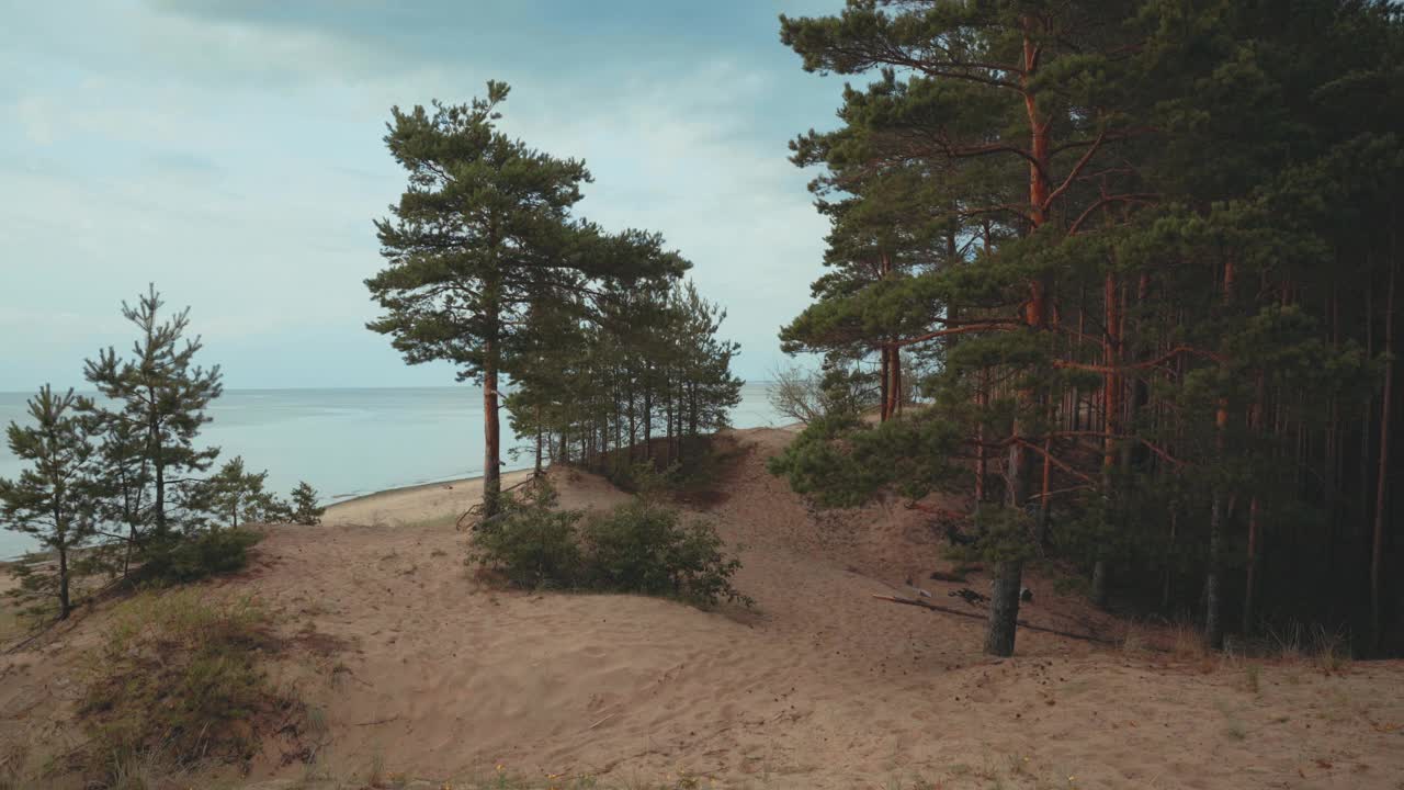 穿过波罗的海的沙丘步行到海滩视频素材