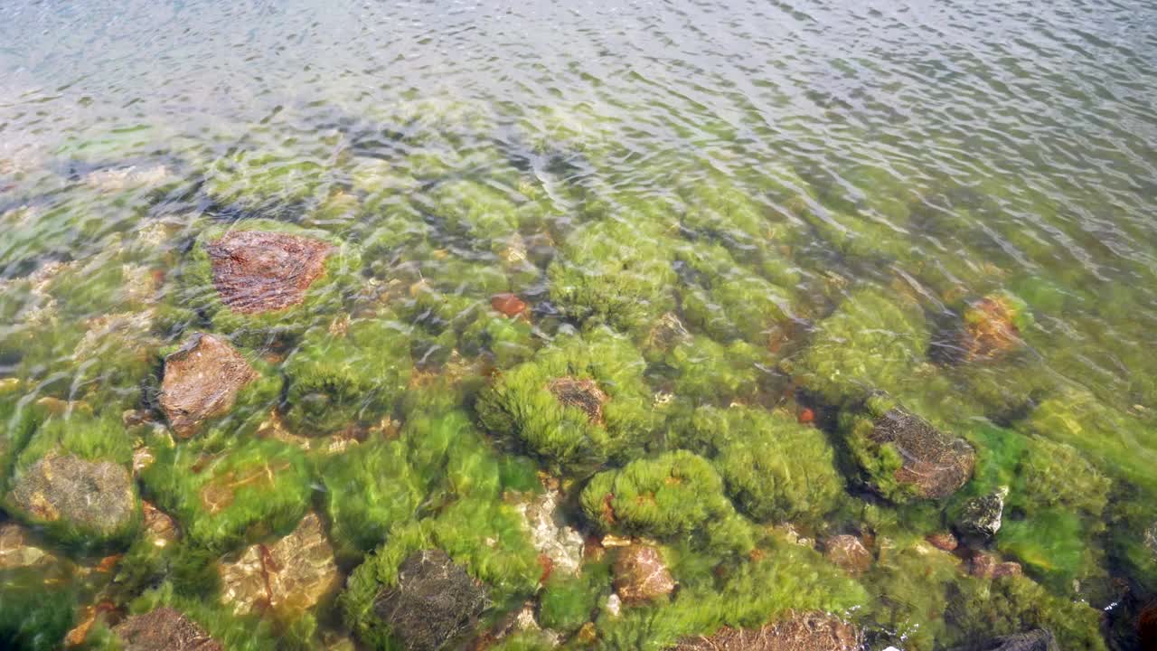 海景视频素材