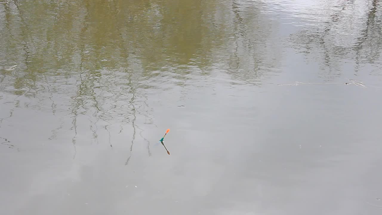 浮子沿着河漂着，鱼在啄食视频下载