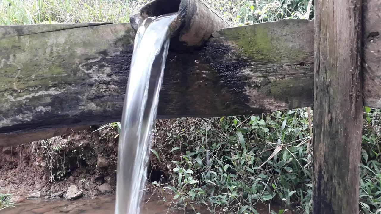 泉水从鱼塘竹枝间流过视频素材