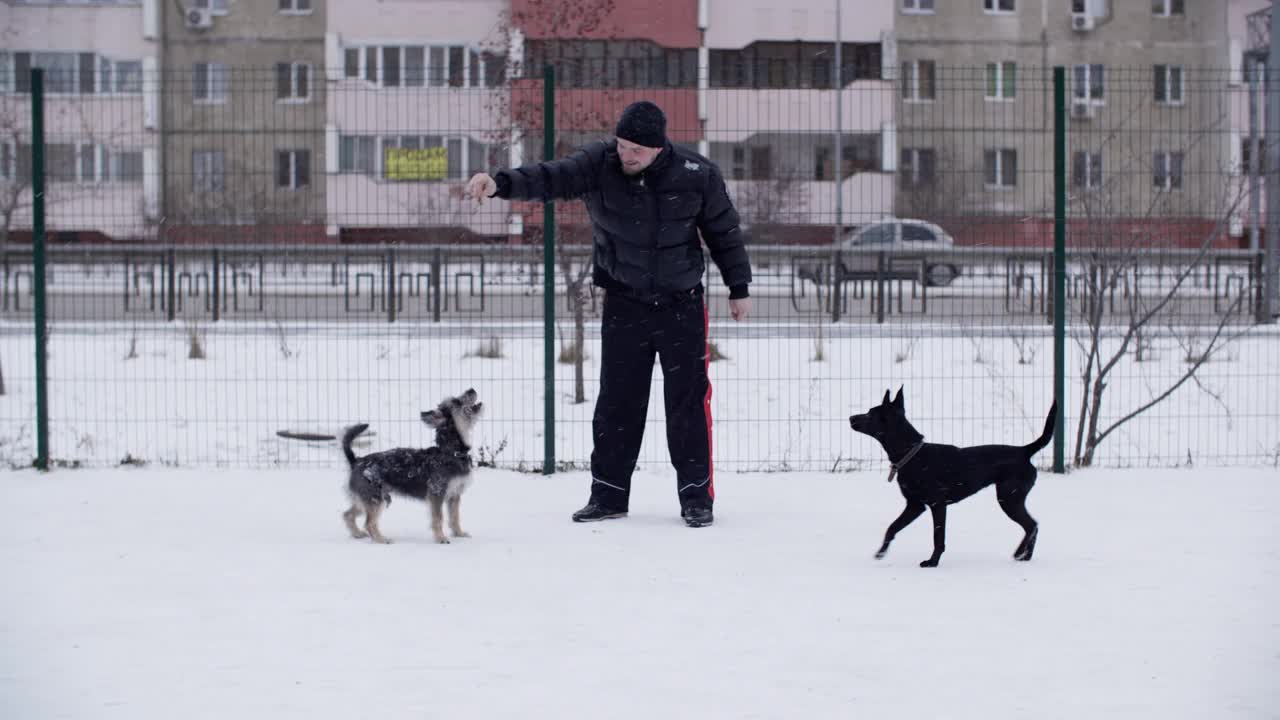 男人在冬天下雪的时候训练顽皮的狗狗。狗主人在下雪的城市街道上与欢快的宠物散步和玩耍。视频素材