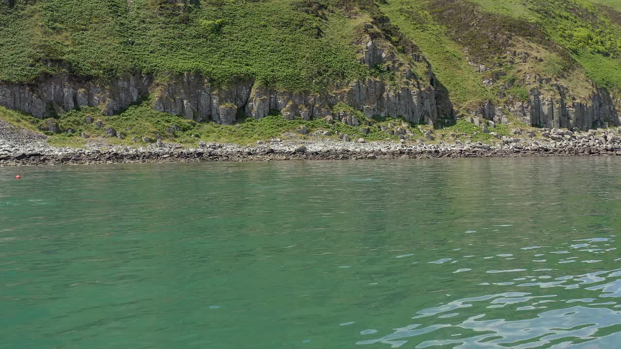 一群野生海豚在海洋中靠近海岸游泳视频素材