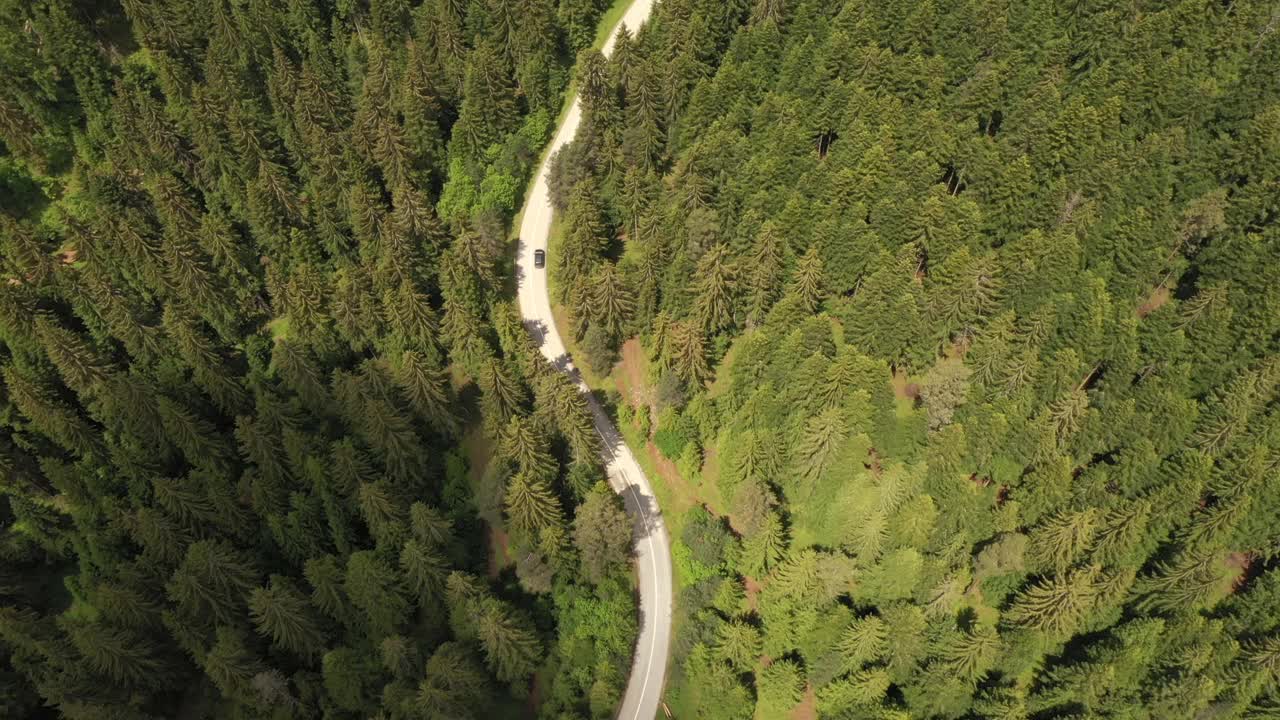 穿越森林的公路旅行视频素材