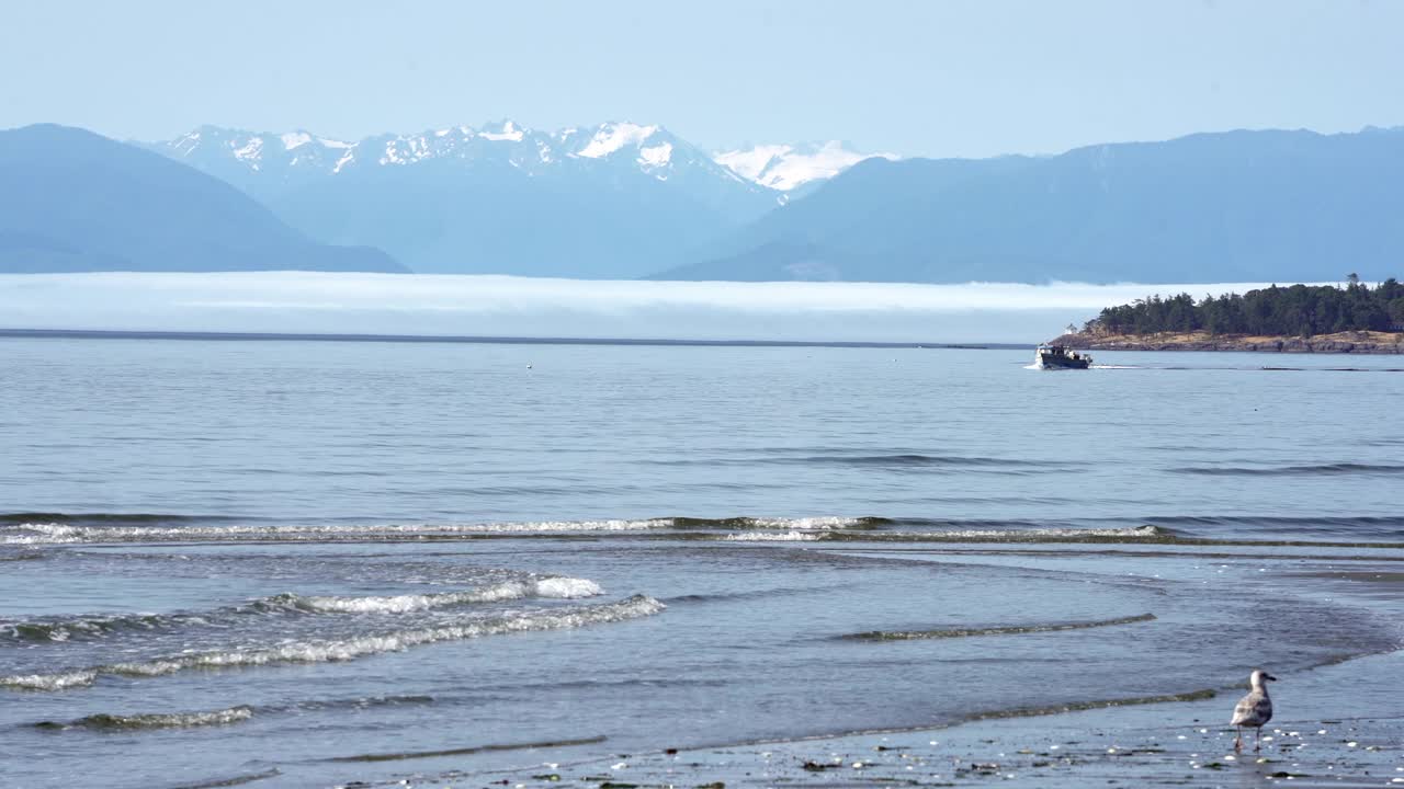 蟹船Salish Sea 4K超高清视频素材