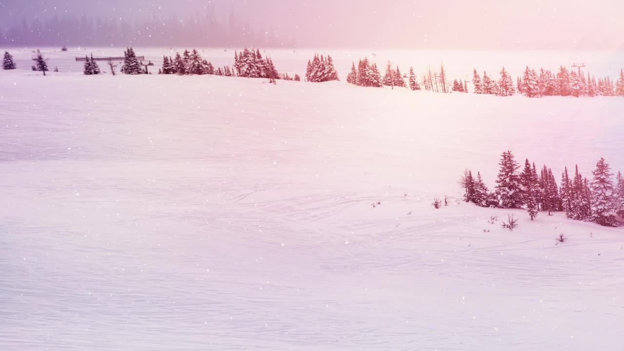 动画的雪落和雪花和发光的斑点在冬季景观视频素材