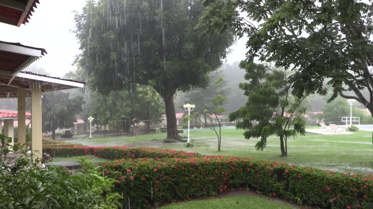 住宅中的热带雨。雨天，白天有暴风雨视频素材