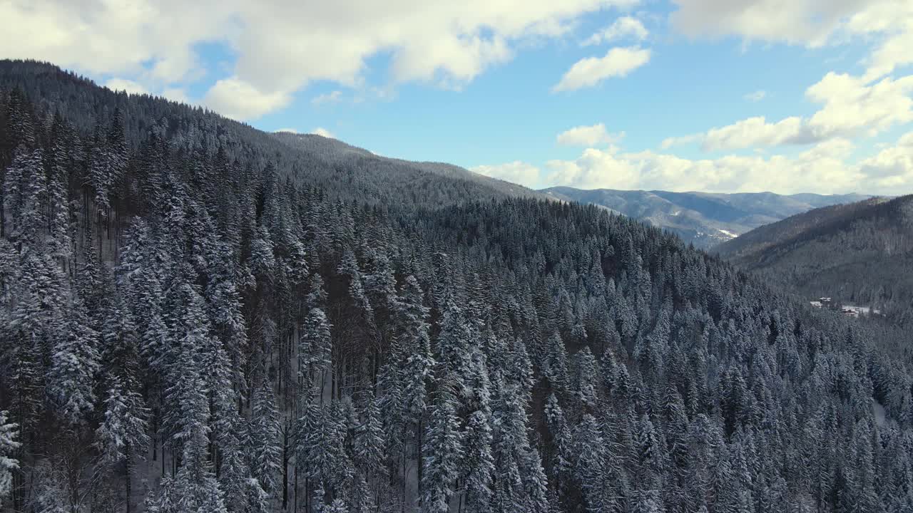 空中冬季景观与云杉树的雪覆盖森林在寒冷的山。视频素材