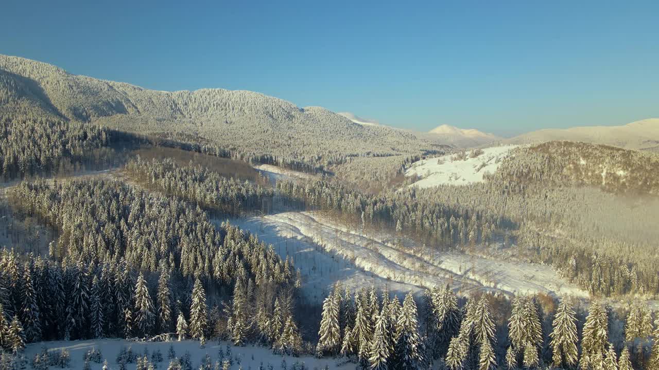 令人惊叹的冬季景观与松树的雪覆盖森林在寒冷的雾山在日出。视频素材