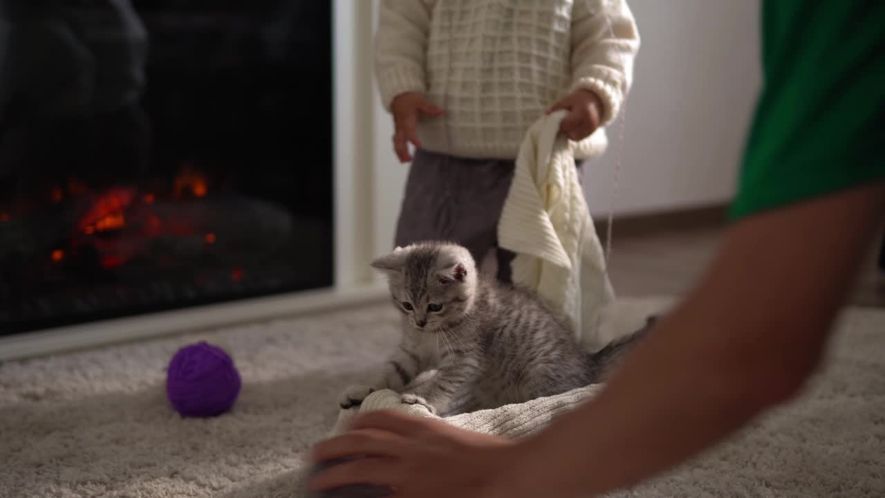 宝宝和小猫玩。Tomcat在地毯上靠近燃烧的壁炉在家里舒适。条纹小猫玩线球。凯蒂跑去看摄像机。快乐可爱的宠物，童年，野性自然的概念视频素材