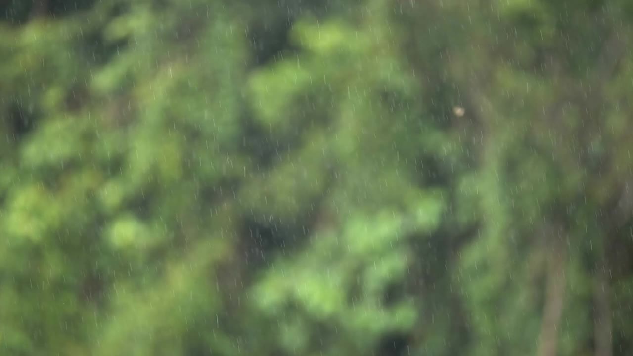 场景缓慢的雨落和雨点在绿色背景视频素材