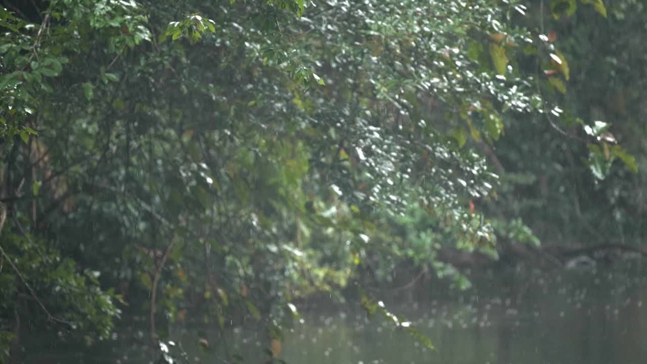 场景缓慢的雨滴在湖中，自然背景视频素材