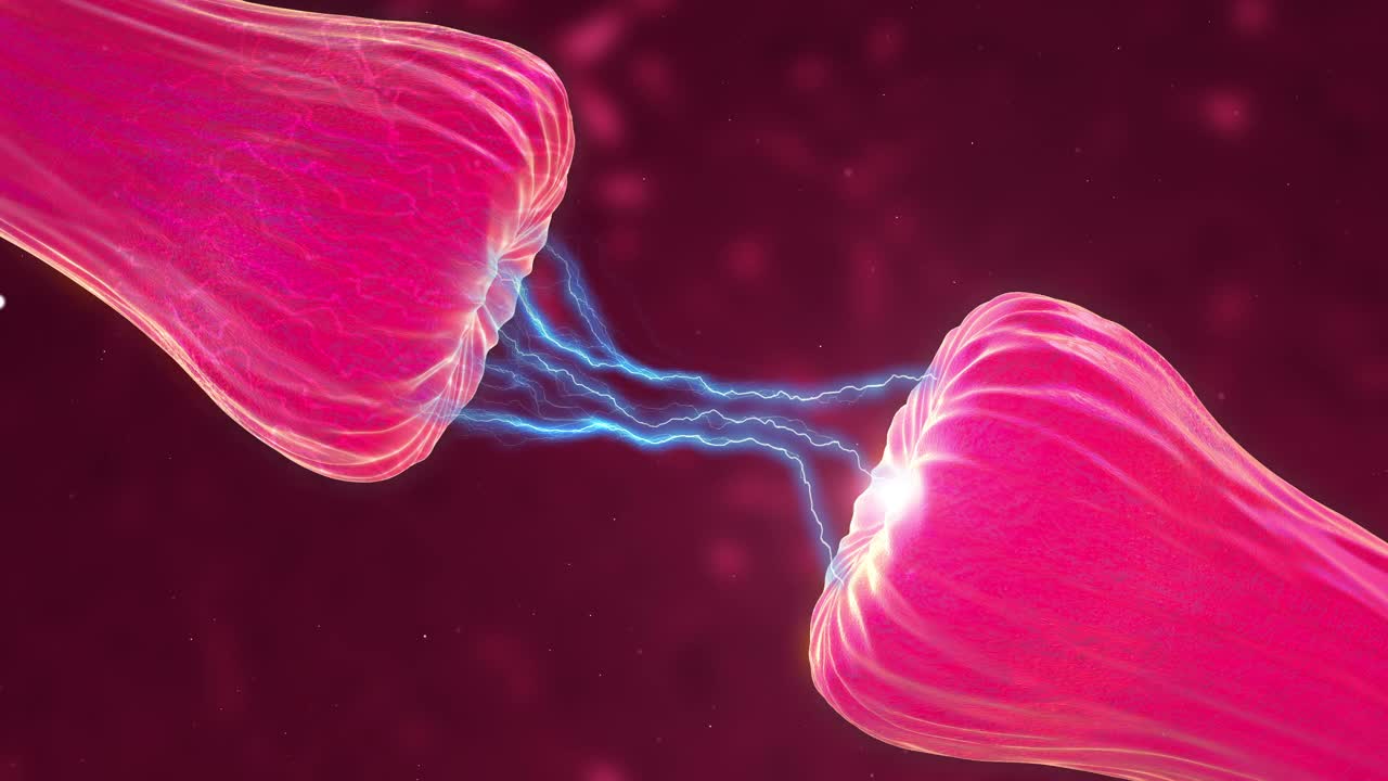 神经元和突触活动动画显示释放的化学信使或神经递质。显示神经活动的神经元，突触，神经递质，大脑，轴突。视频素材