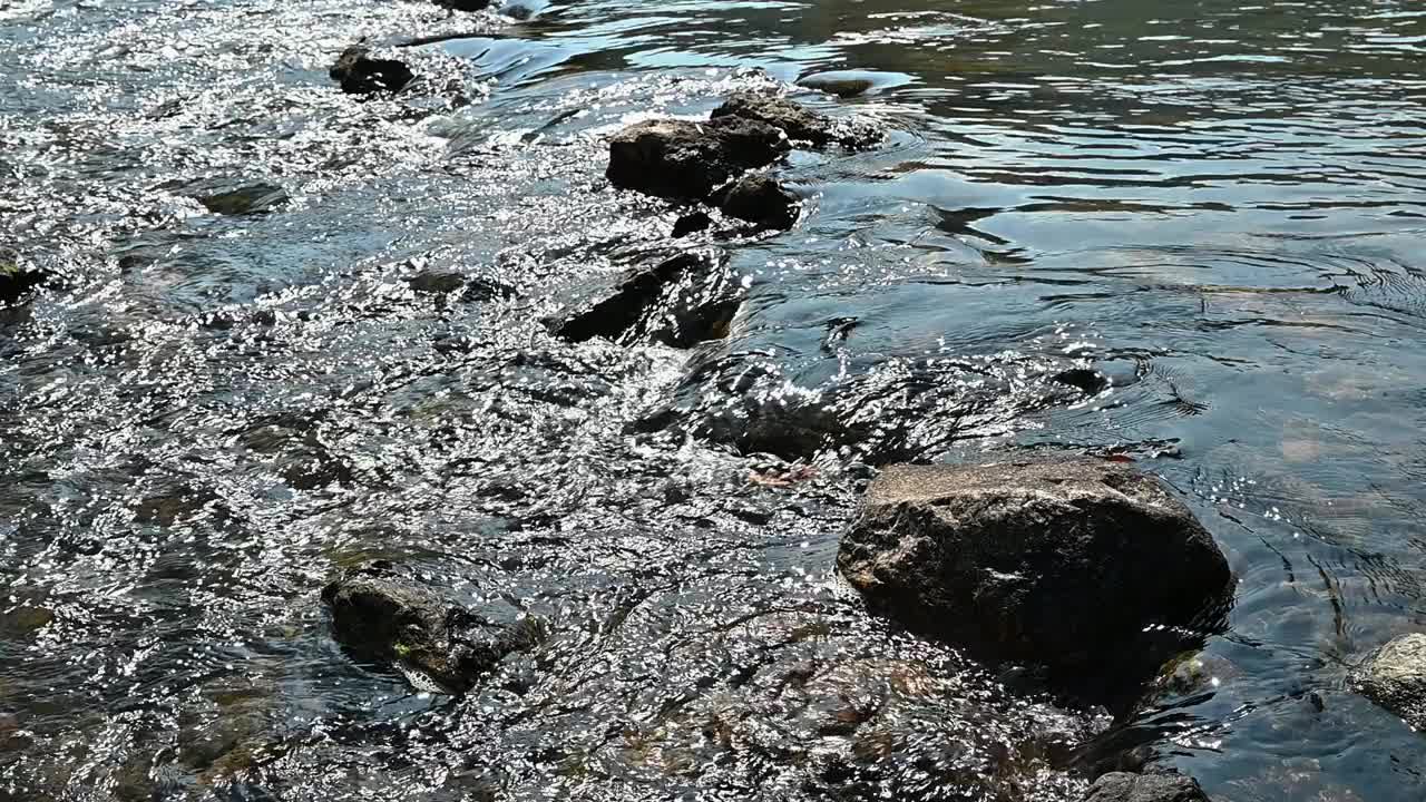 清澈的水在河上流过岩石视频素材