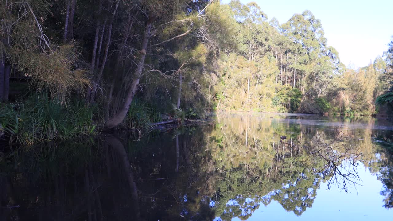 河面鸭巷全景视频素材