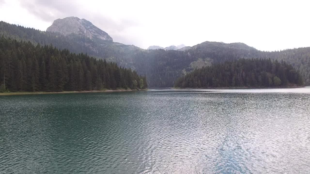 黑湖的湖水被松树林环绕着。黑山共和国视频素材