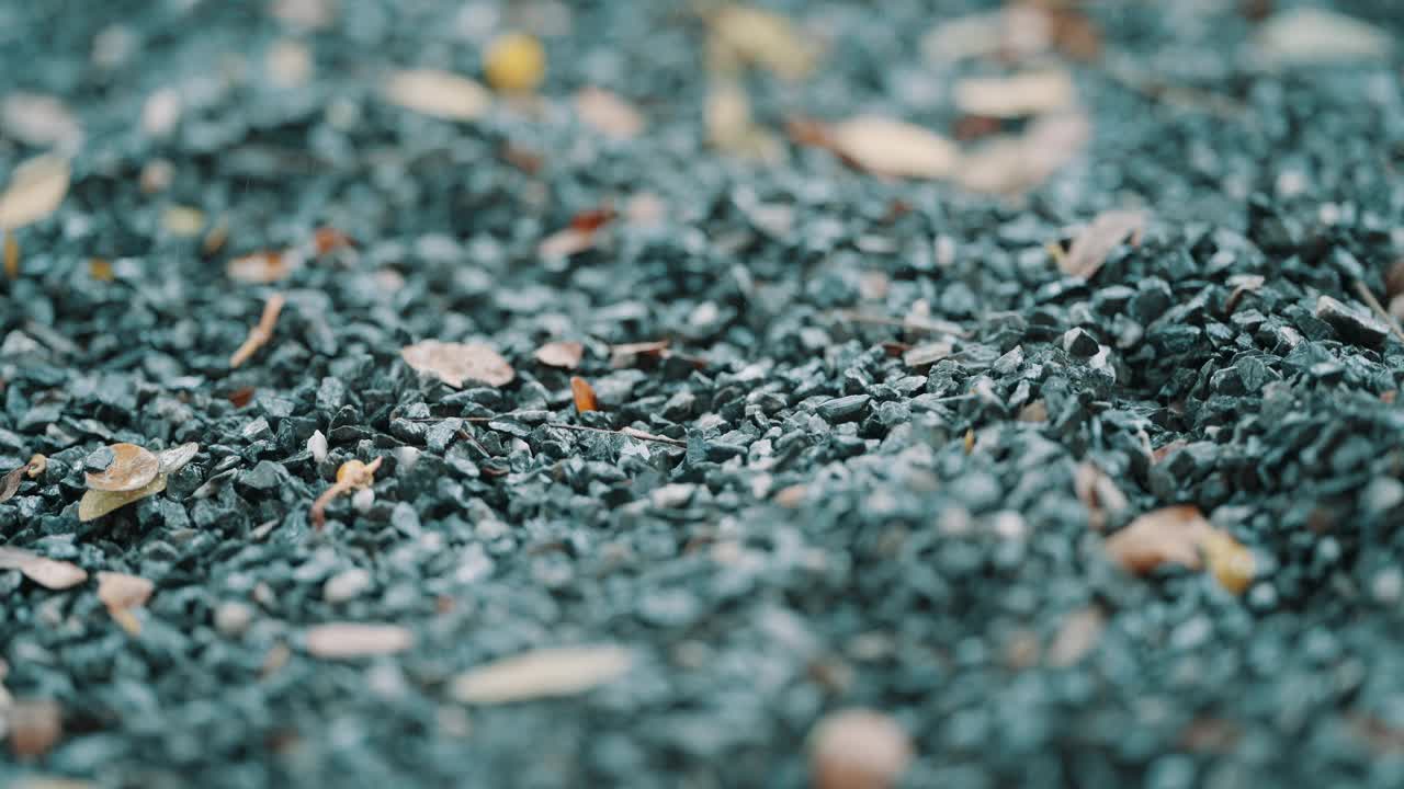 雨落在地上视频素材