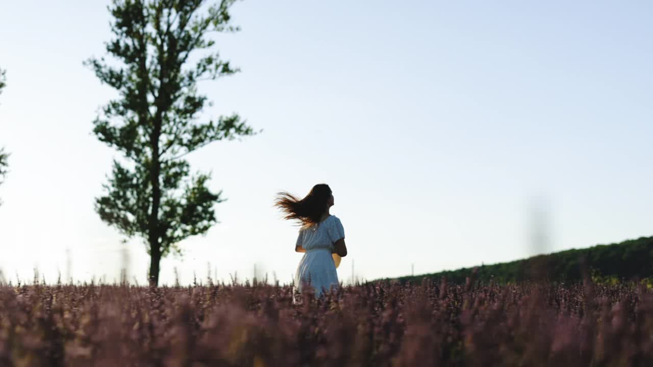 一个穿着夏装的女人走过薰衣草田。普罗旺斯,法国。美丽的女孩走在紫色薰衣草和享受温暖的夏日之间视频素材