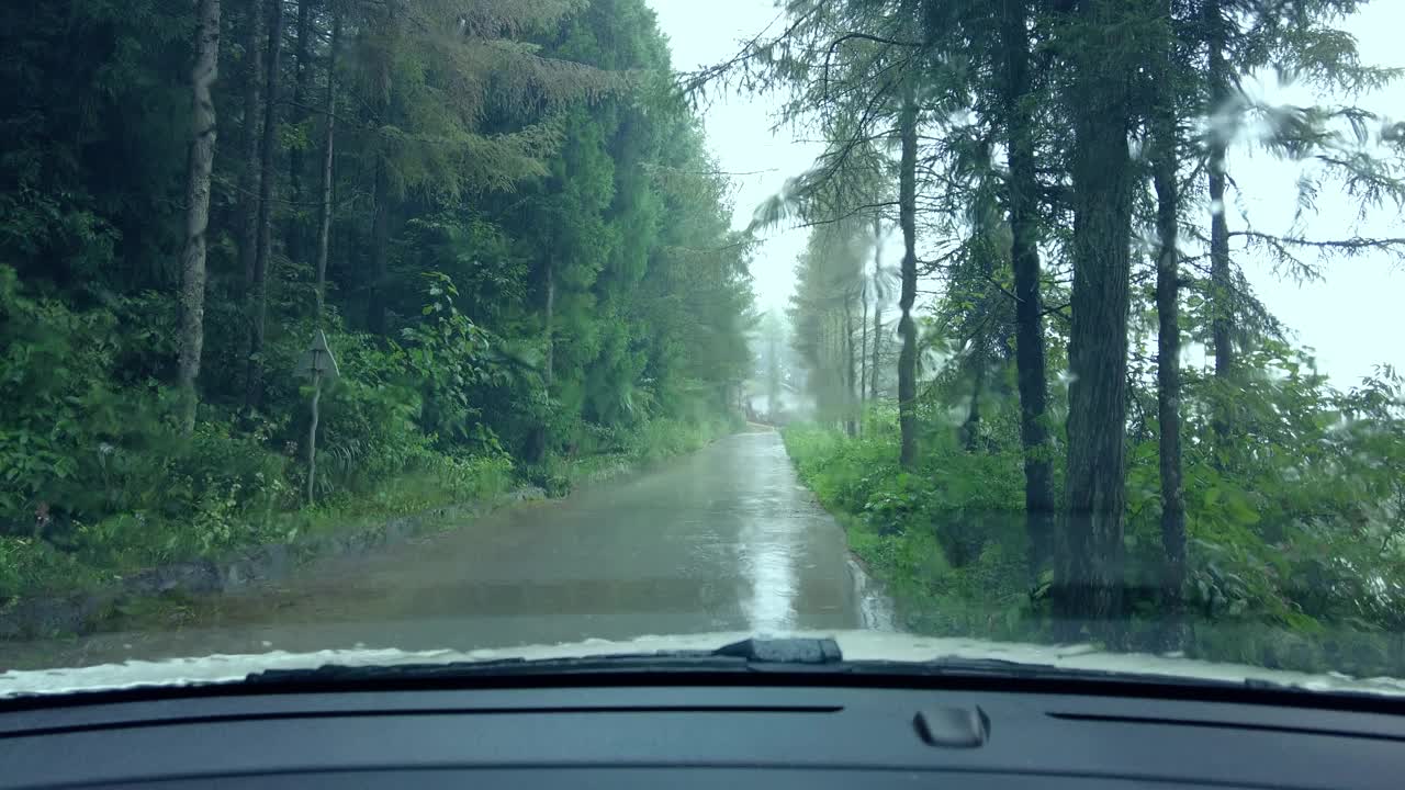 司机在雨中观察森林道路视频素材