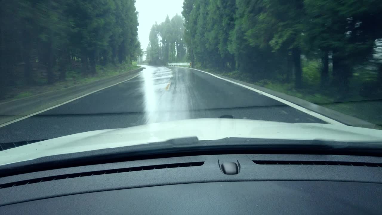 司机在雨中观察森林道路视频素材