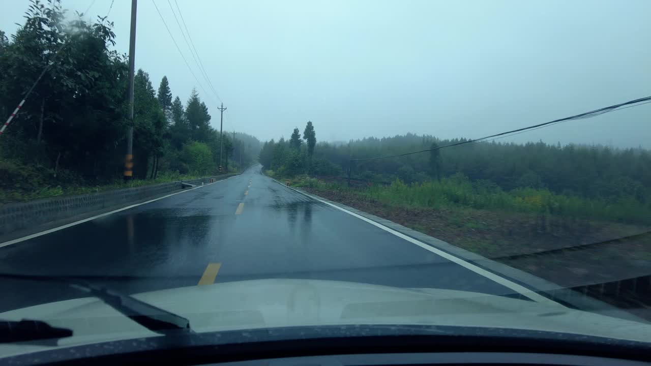 司机在雨中观察森林道路视频素材