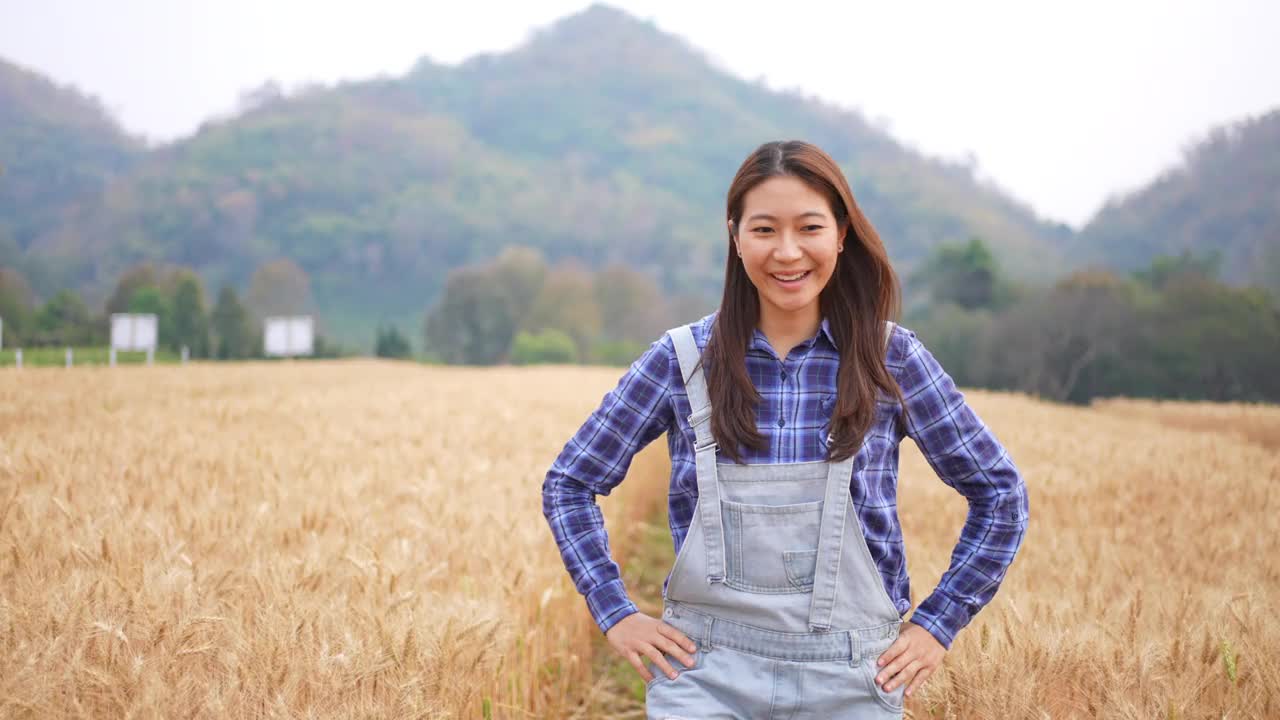 4K亚洲女人走在麦田里，用手抚摸着麦苗视频素材