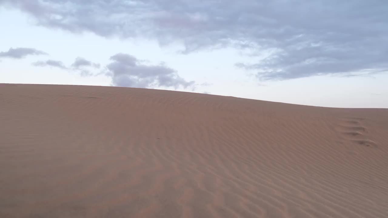 沙漠是一片贫瘠的土地，几乎没有降水，因此，生存条件对植物和动物很不利。植被的缺乏使未受保护的地面暴露在剥蚀过程中。关于视频素材