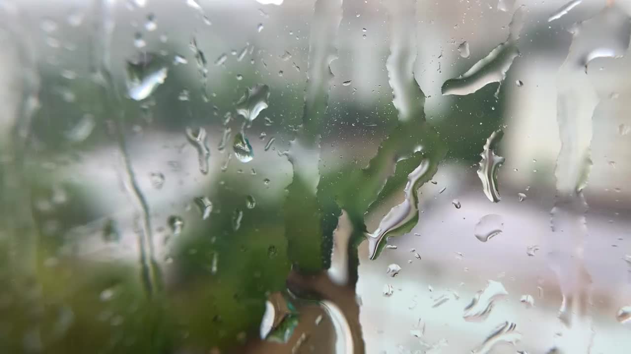 雨天视频素材