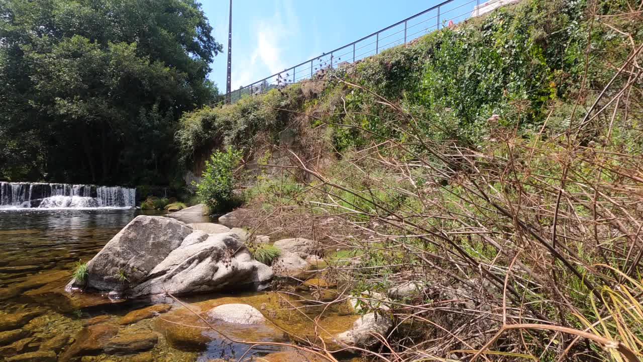 河流-水-沼泽-植物-自然视频素材