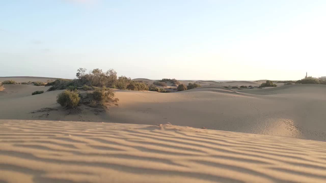 沙漠是一片贫瘠的土地，几乎没有降水，因此，生存条件对植物和动物很不利。植被的缺乏使未受保护的地面暴露在剥蚀过程中。关于视频素材